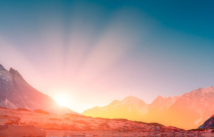 918������(�й���)�ٷ���վ